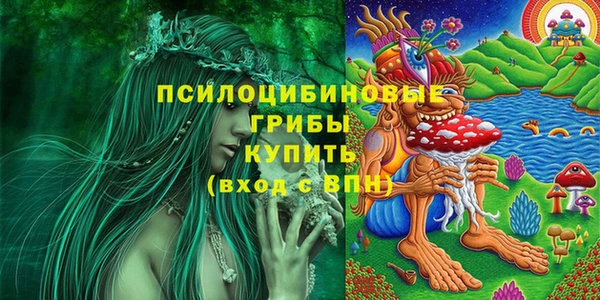 мескалин Бородино