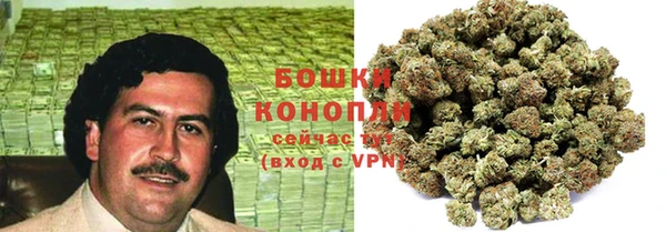 бошки Бронницы